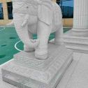 贵阳 白麻花岗岩动物异形石雕-大象